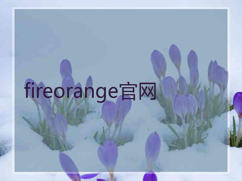 fireorange官网