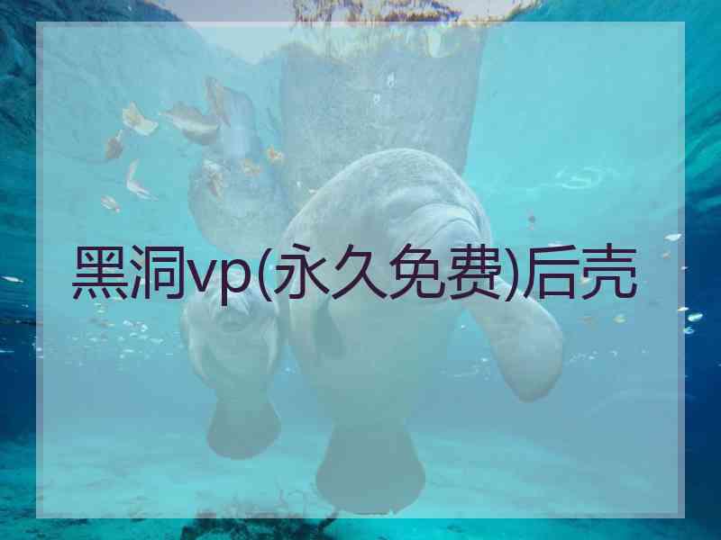 黑洞vp(永久免费)后壳