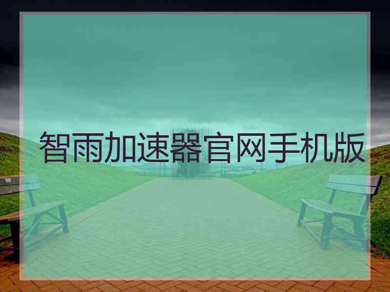 智雨加速器官网手机版