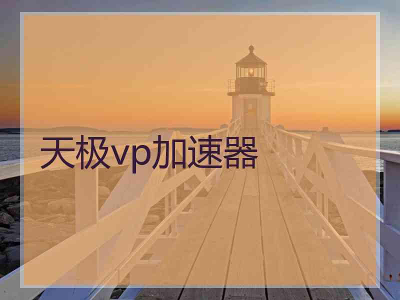 天极vp加速器