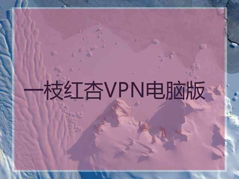 一枝红杏VPN电脑版