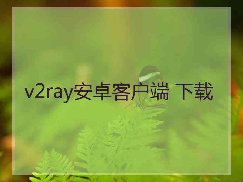 v2ray安卓客户端 下载