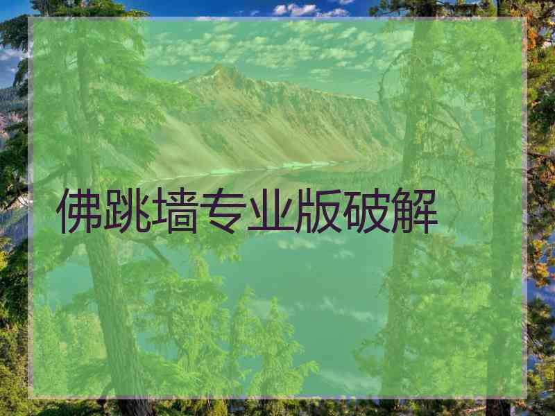 佛跳墙专业版破解