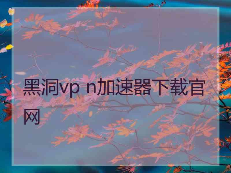 黑洞vp n加速器下载官网