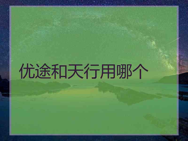 优途和天行用哪个
