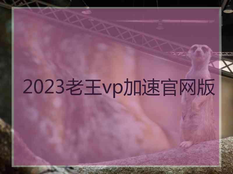 2023老王vp加速官网版