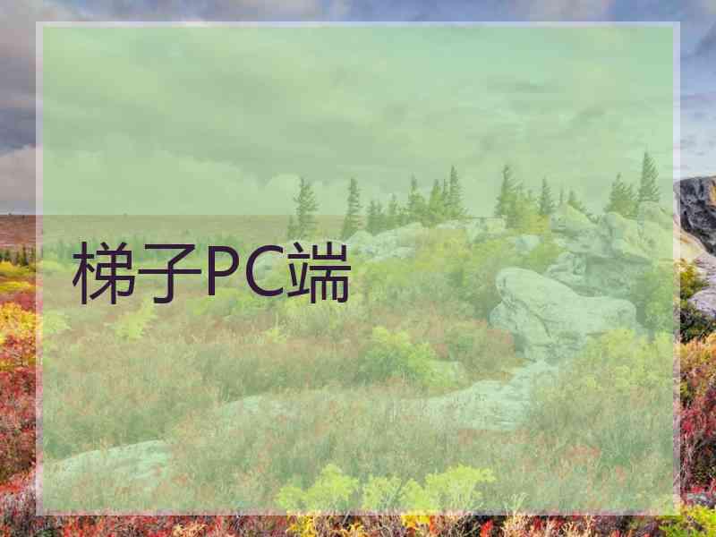 梯子PC端