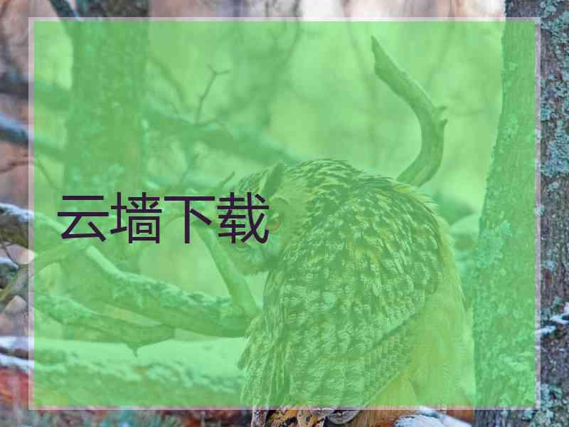 云墙下载