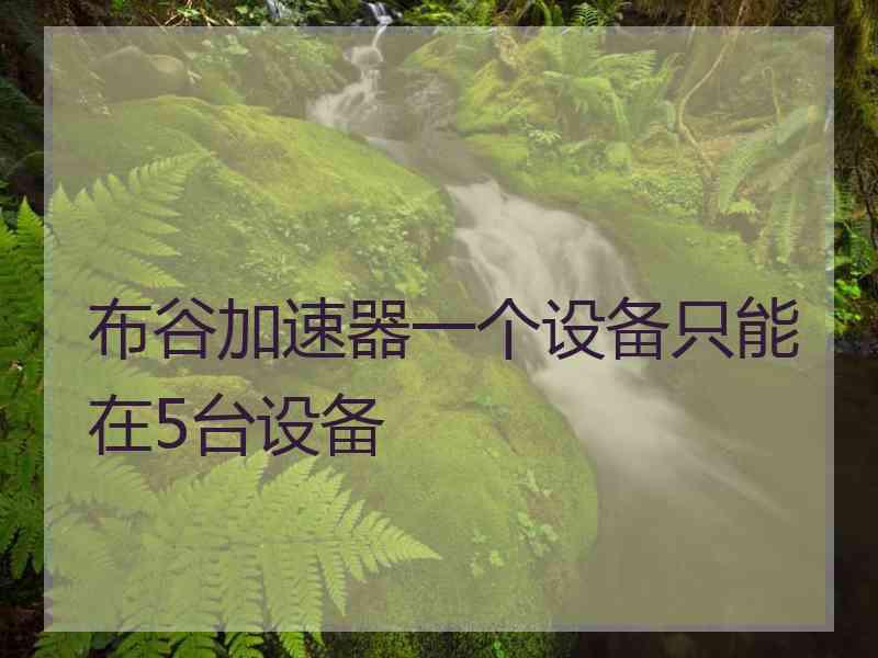布谷加速器一个设备只能在5台设备