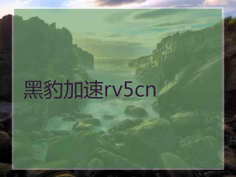 黑豹加速rv5cn