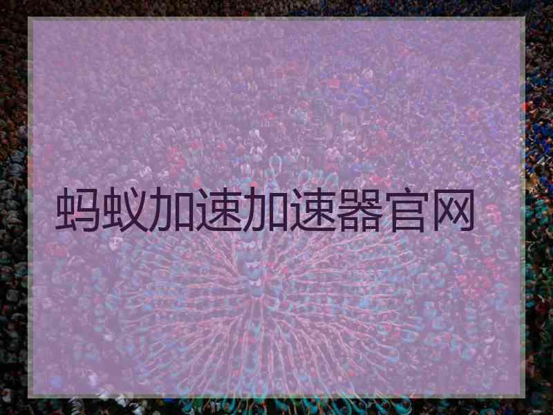 蚂蚁加速加速器官网