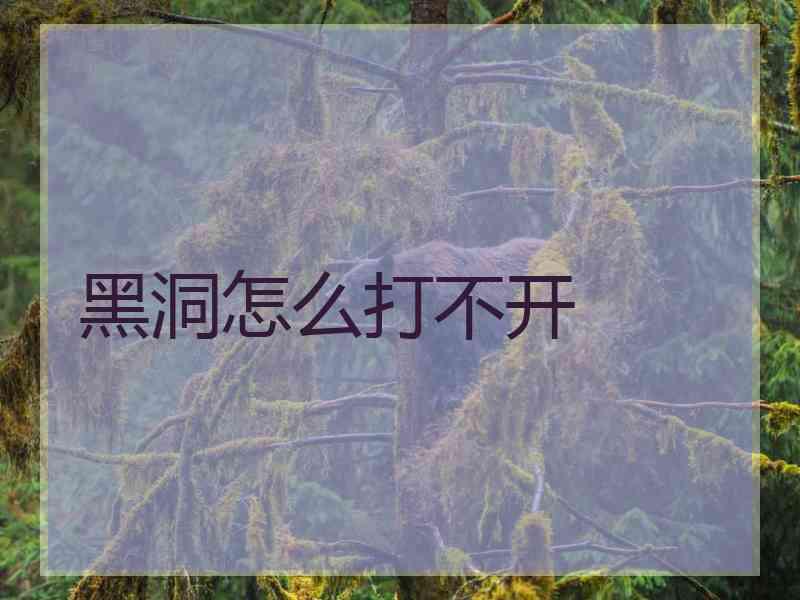 黑洞怎么打不开