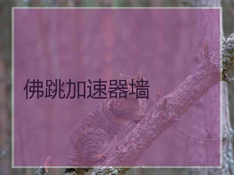 佛跳加速器墙