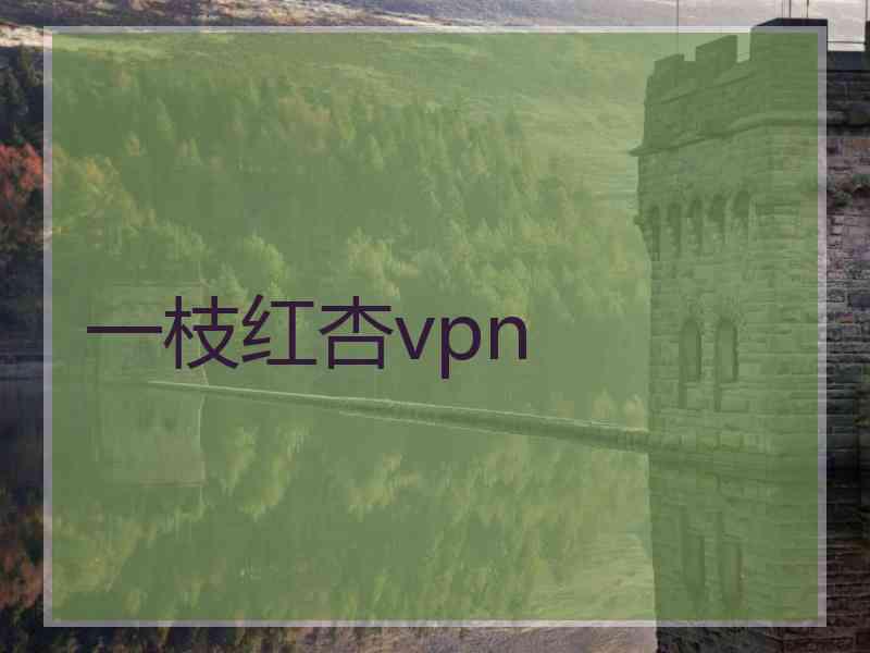 一枝红杏vpn