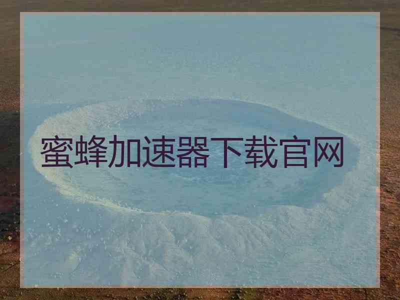 蜜蜂加速器下载官网