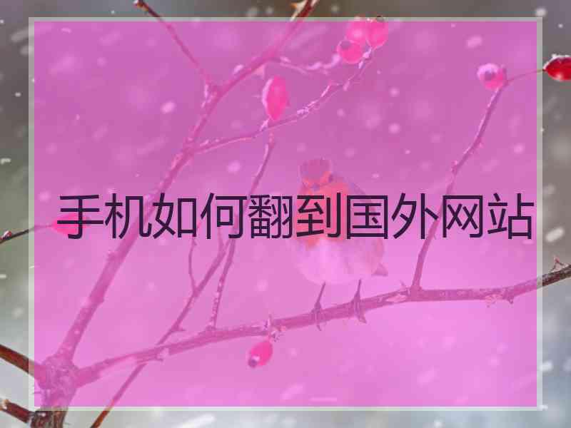 手机如何翻到国外网站