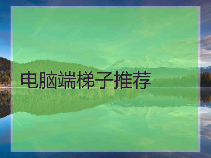 电脑端梯子推荐