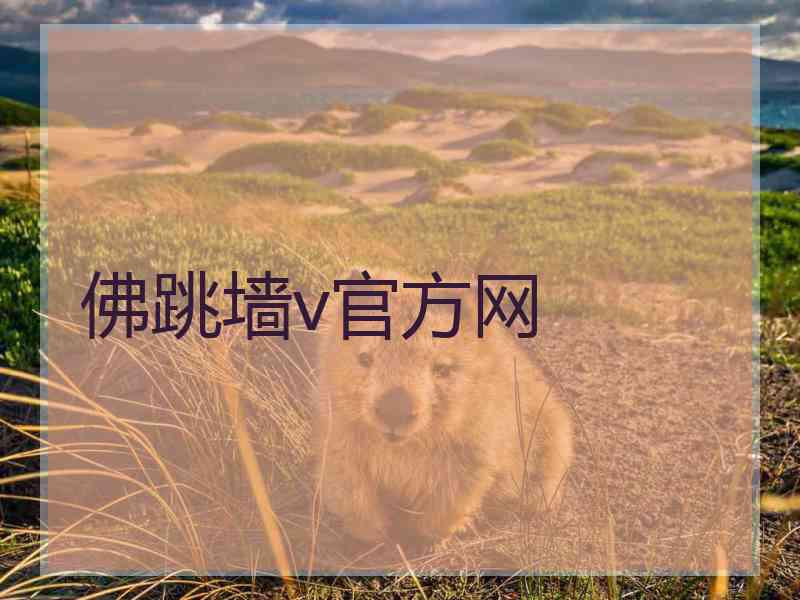 佛跳墙v官方网