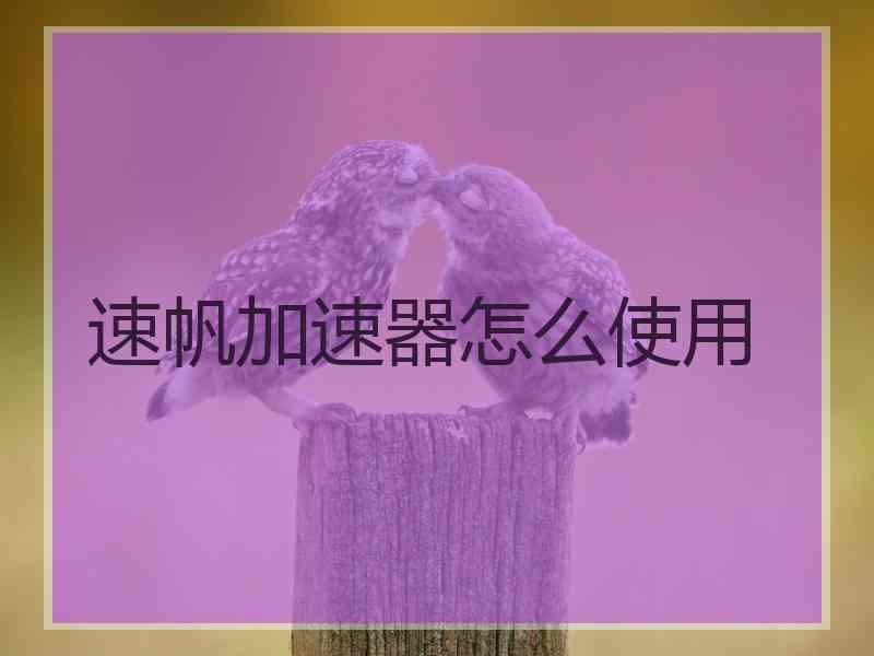 速帆加速器怎么使用