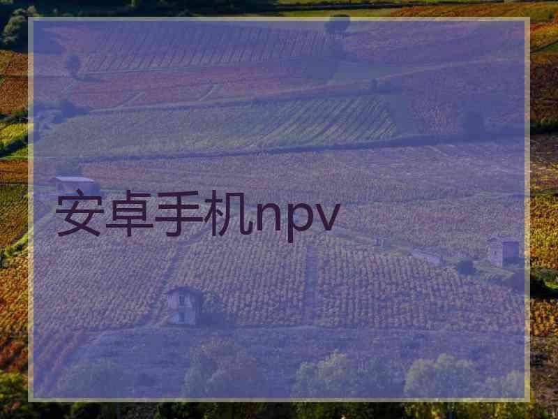 安卓手机npv