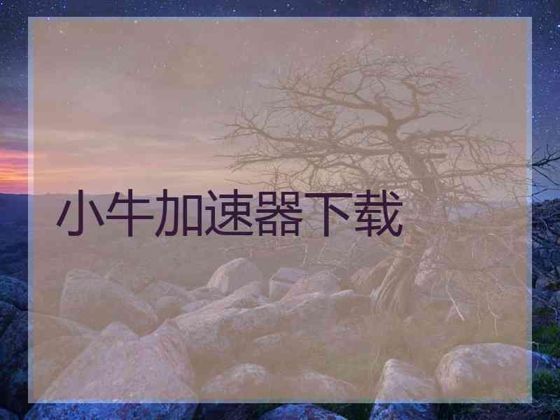 小牛加速器下载