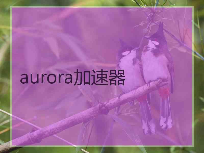 aurora加速器