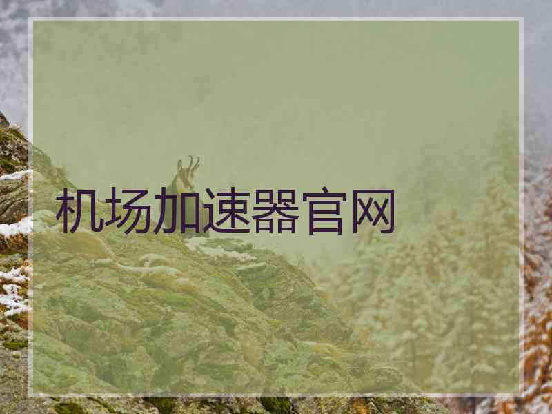 机场加速器官网
