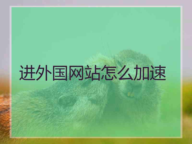 进外国网站怎么加速