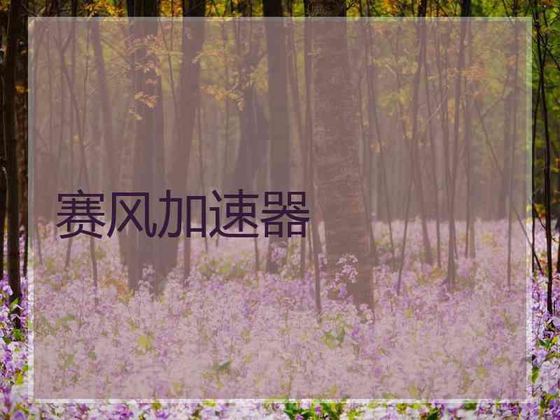 赛风加速器