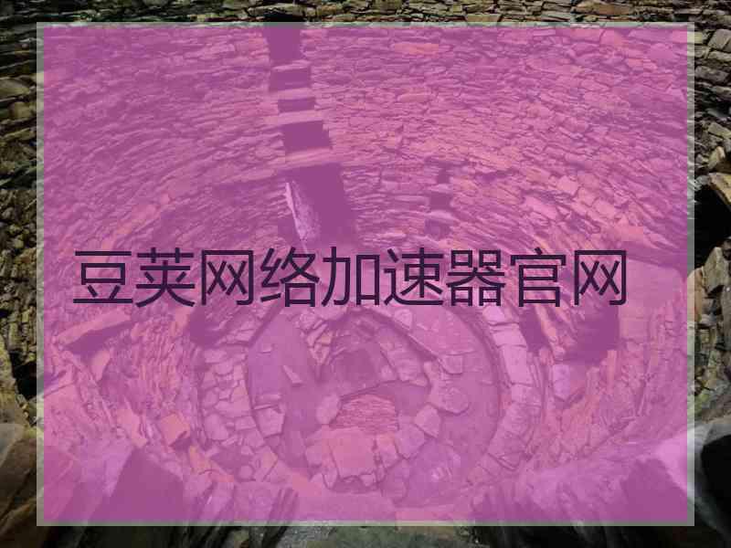 豆荚网络加速器官网