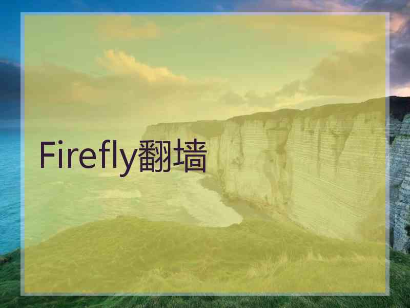 Firefly翻墙