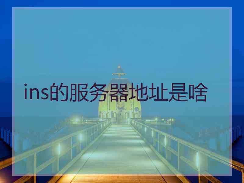 ins的服务器地址是啥