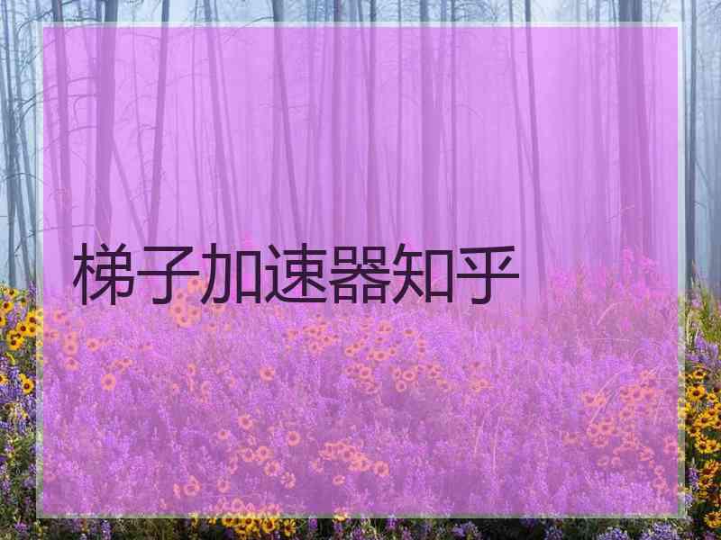 梯子加速器知乎