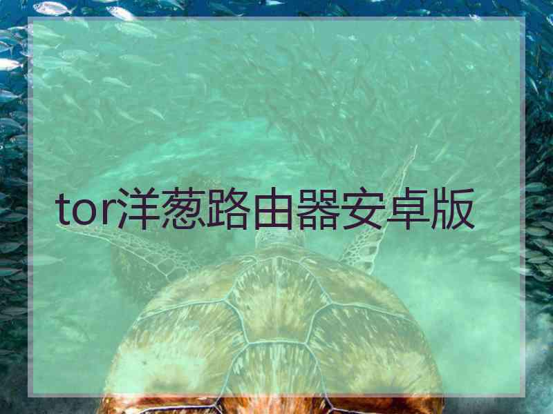 tor洋葱路由器安卓版