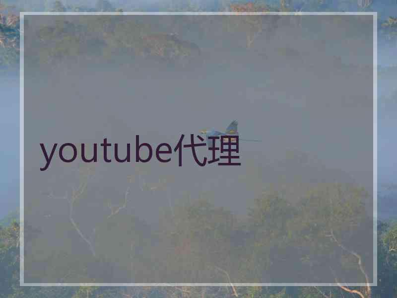 youtube代理