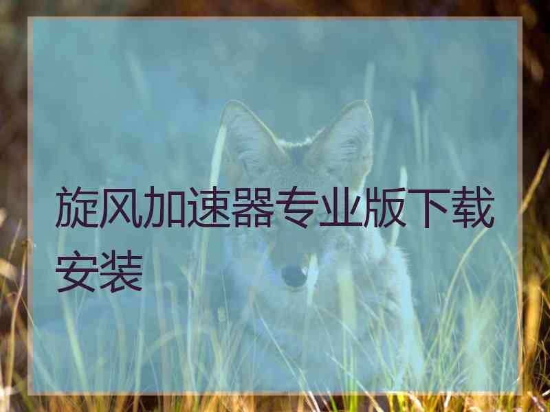 旋风加速器专业版下载安装