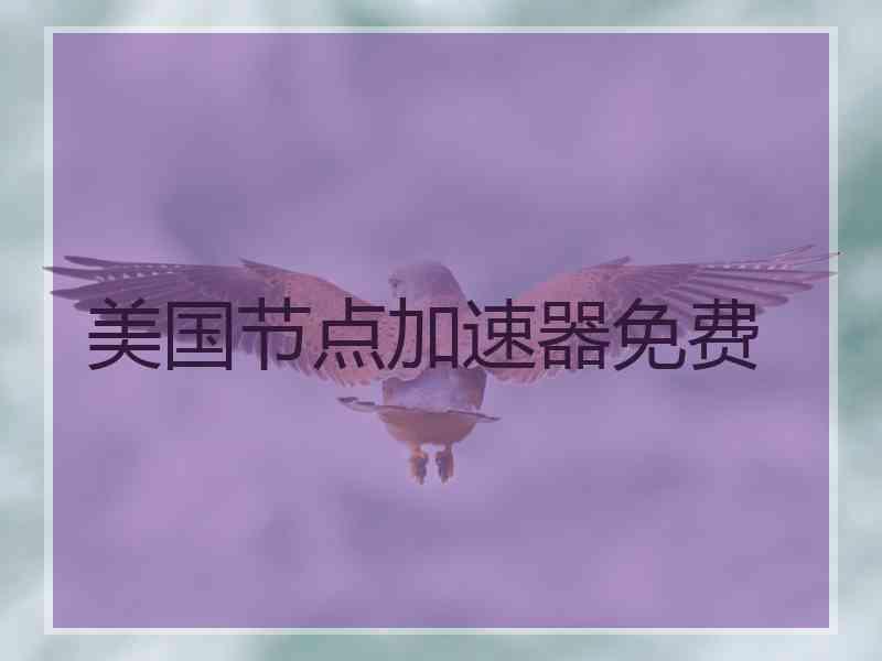 美国节点加速器免费