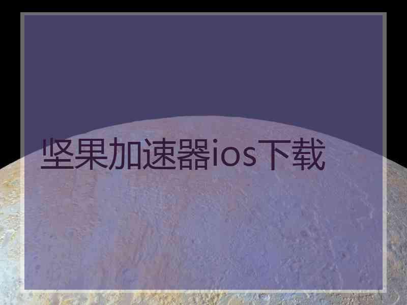 坚果加速器ios下载