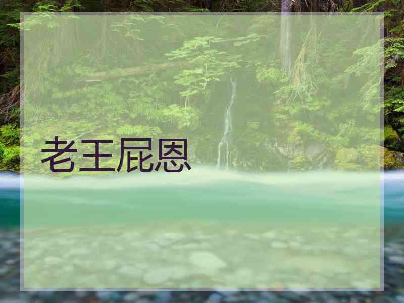 老王屁恩