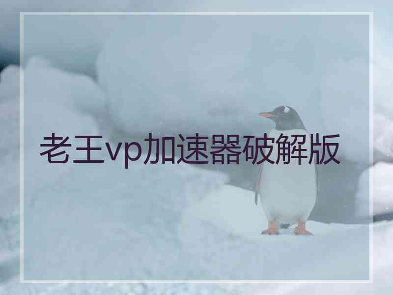 老王vp加速器破解版
